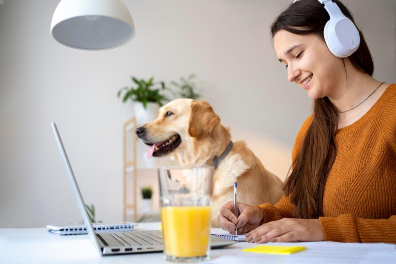 Practical budgeting tools and tracking methods